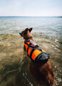 Non-stop dogwear Safe Life Jacket 2.0