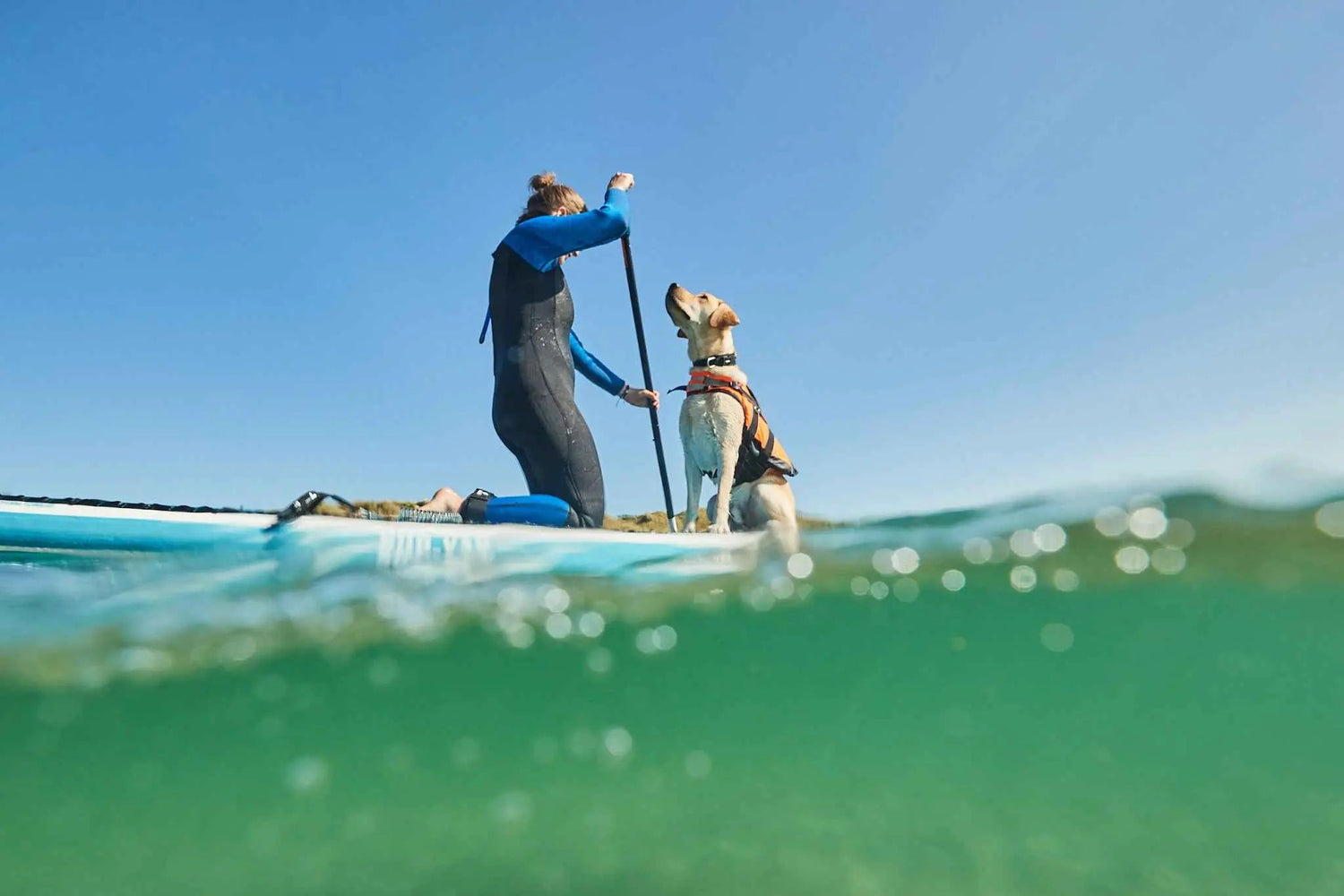 Non-stop dogwear Safe Life Jacket 2.0