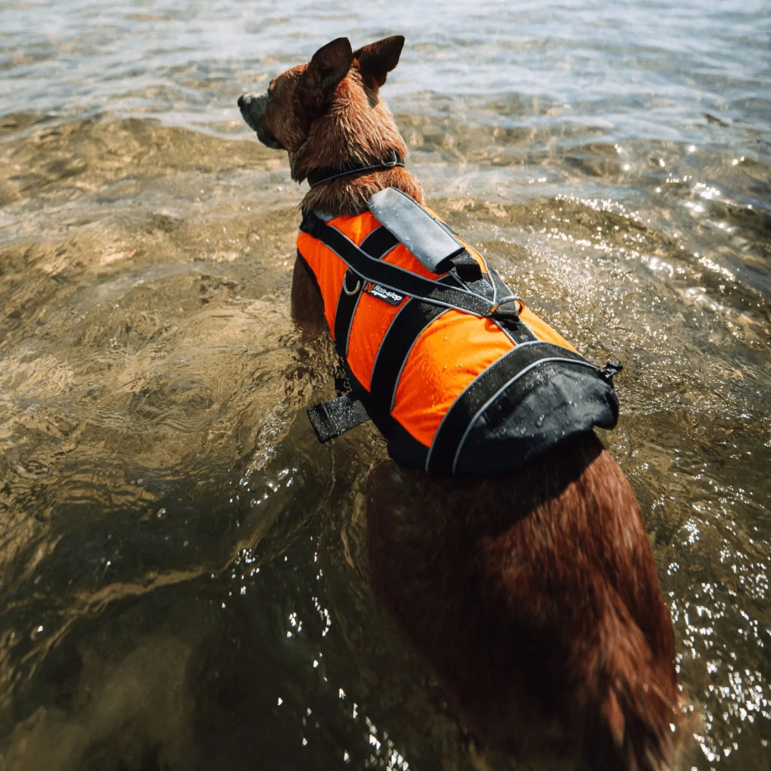 Non-stop dogwear Safe Life Jacket 2.0