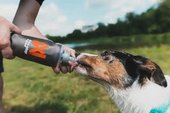 Non-stop dogwear soft flask