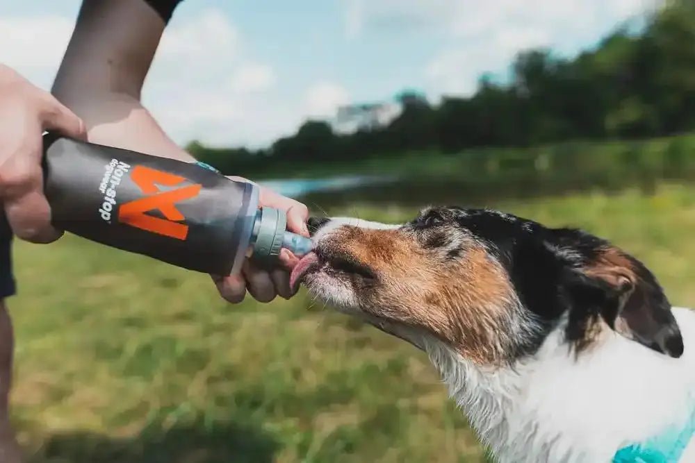 Non-stop dogwear soft flask