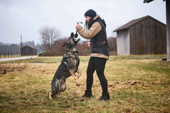 Non-stop dogwear Solid Adjustable Collar WD