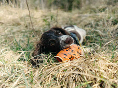 Non-stop dogwear Throw Toy