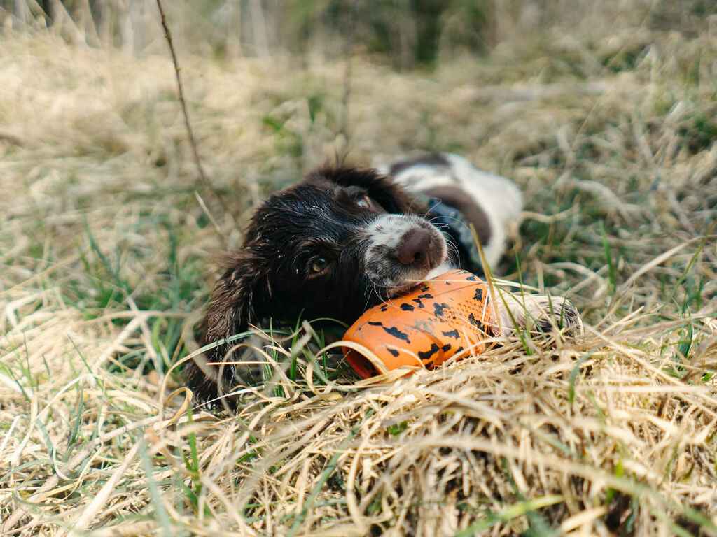 Non-stop dogwear Throw Toy