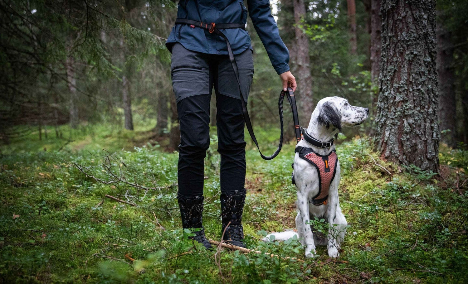 Non-stop dogwear Touring bungee adjustable