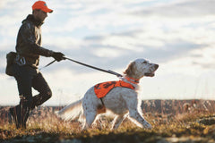 Non-stop dogwear Touring bungee adjustable