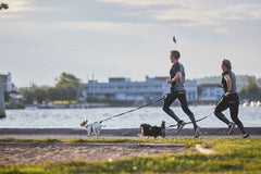 Non-stop dogwear Touring Bungee Leash