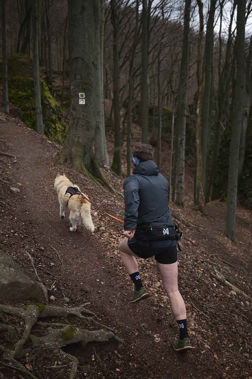 Non-stop dogwear Trail light belt