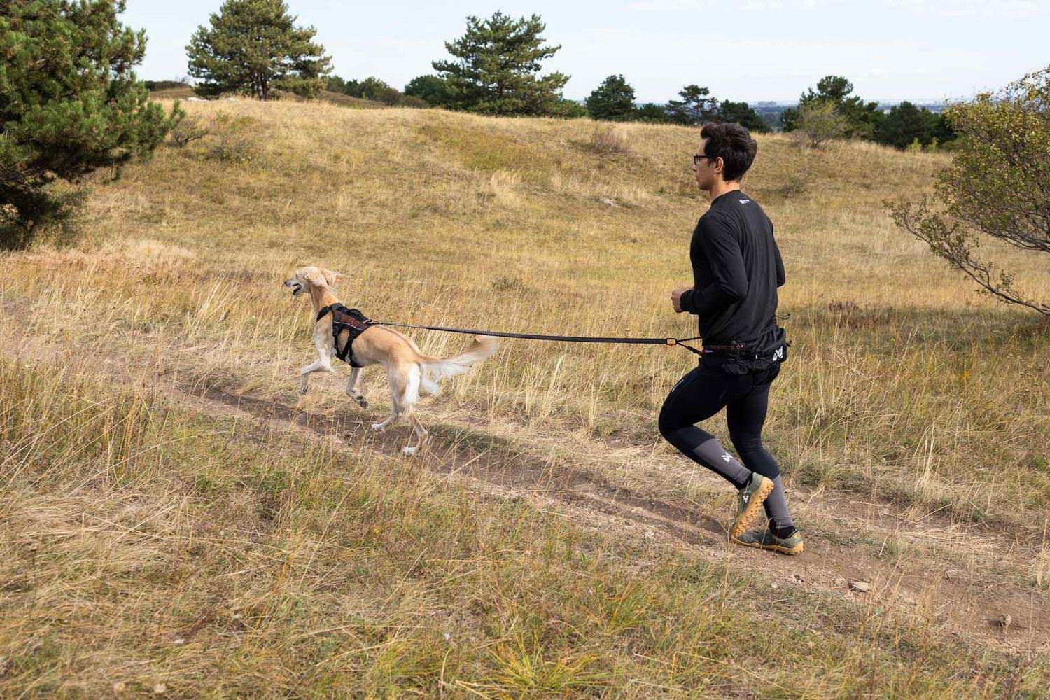 Non-stop dogwear Trail light belt