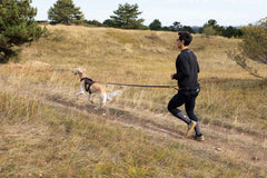 Non-stop dogwear Trail light belt