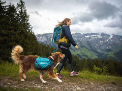 Non-stop dogwear Trail Quest Dog Backpack