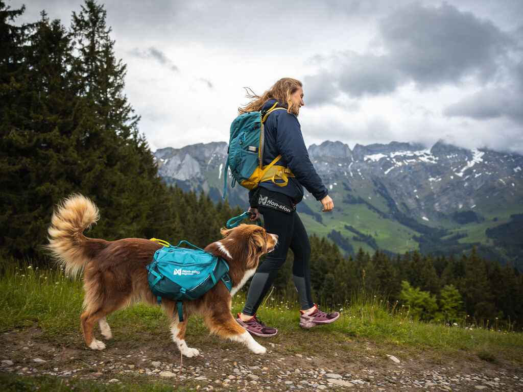 Non-stop dogwear Trail Quest Dog Backpack