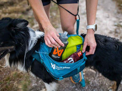 Non-stop dogwear Trail Quest Dog Backpack
