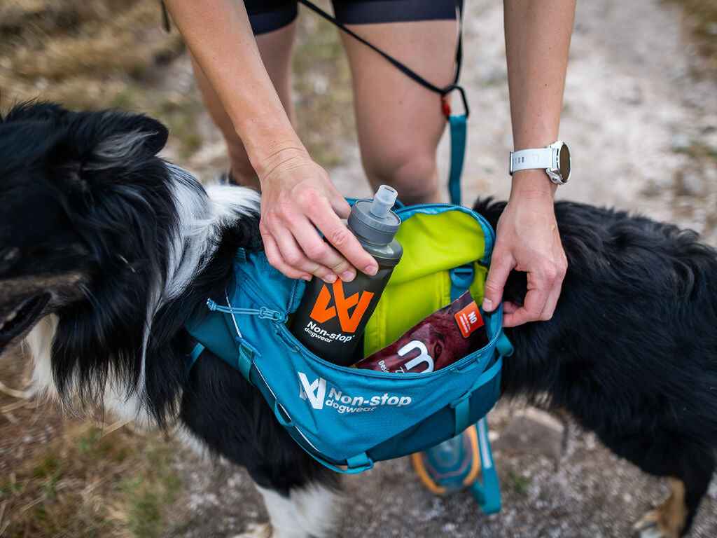 Non-stop dogwear Trail Quest Dog Backpack