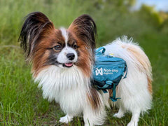 Non-stop dogwear Trail Quest Dog Backpack