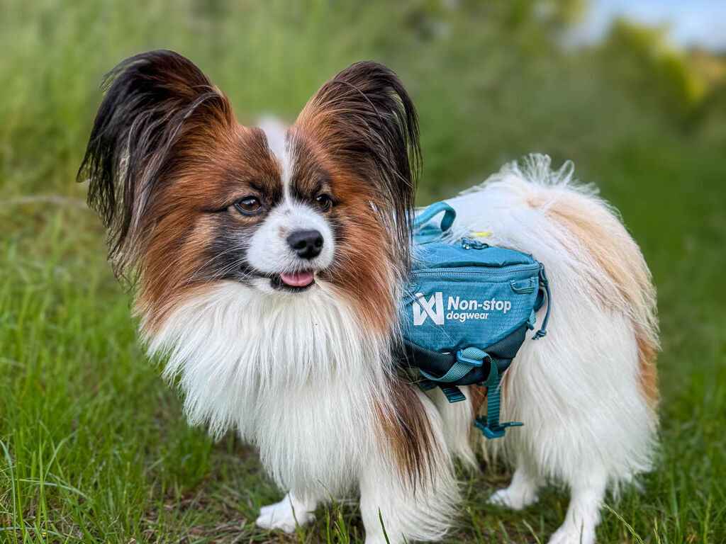Non-stop dogwear Trail Quest Dog Backpack