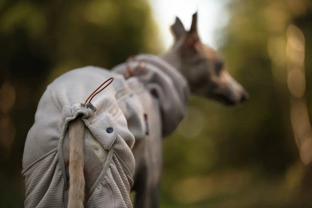 Non-stop Dogwear Trail Quest Fleece Overall