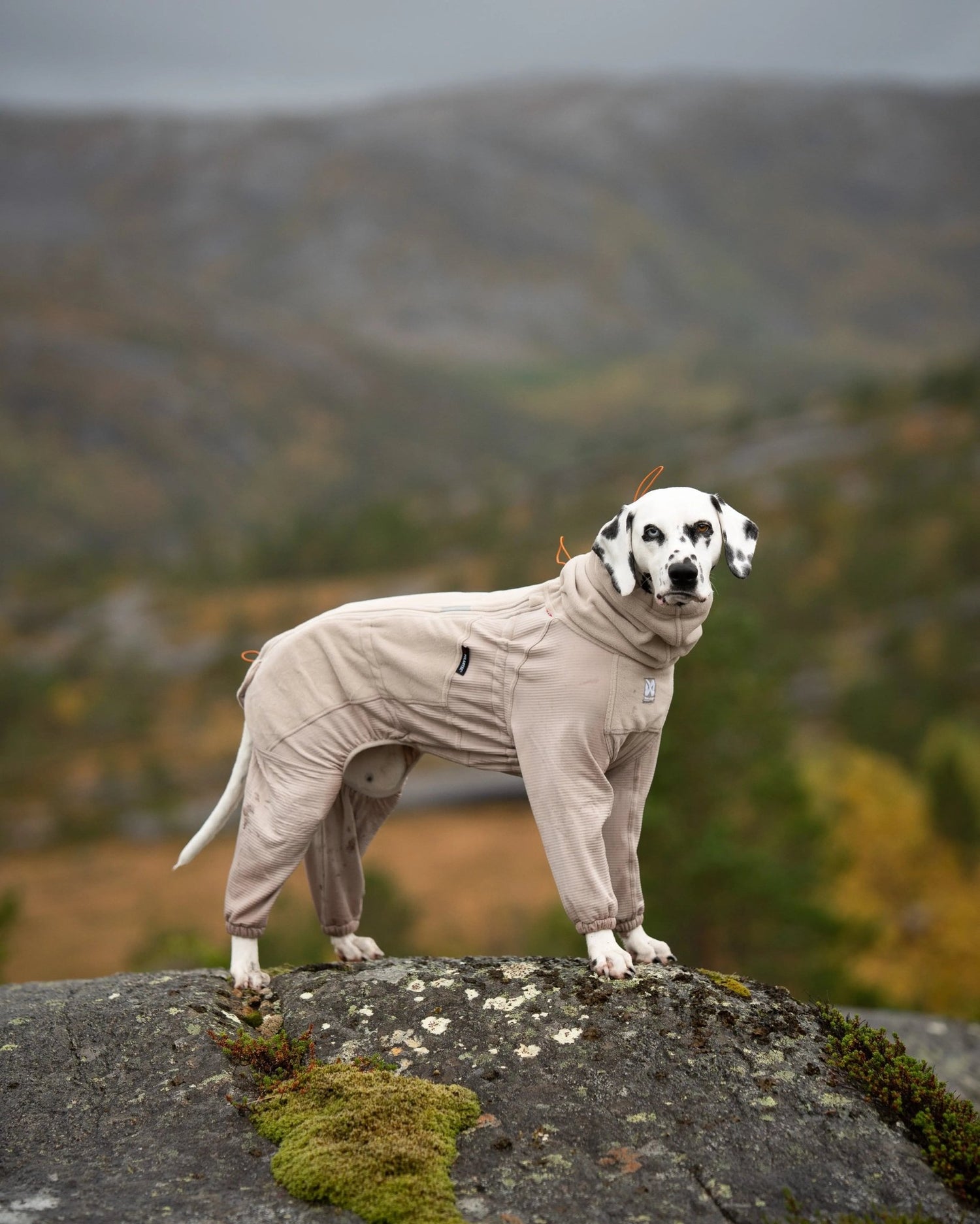 Non-stop Dogwear Trail Quest Fleece Overall
