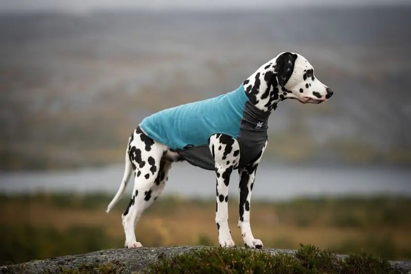 Non-stop Dogwear Trail quest fleece pullover