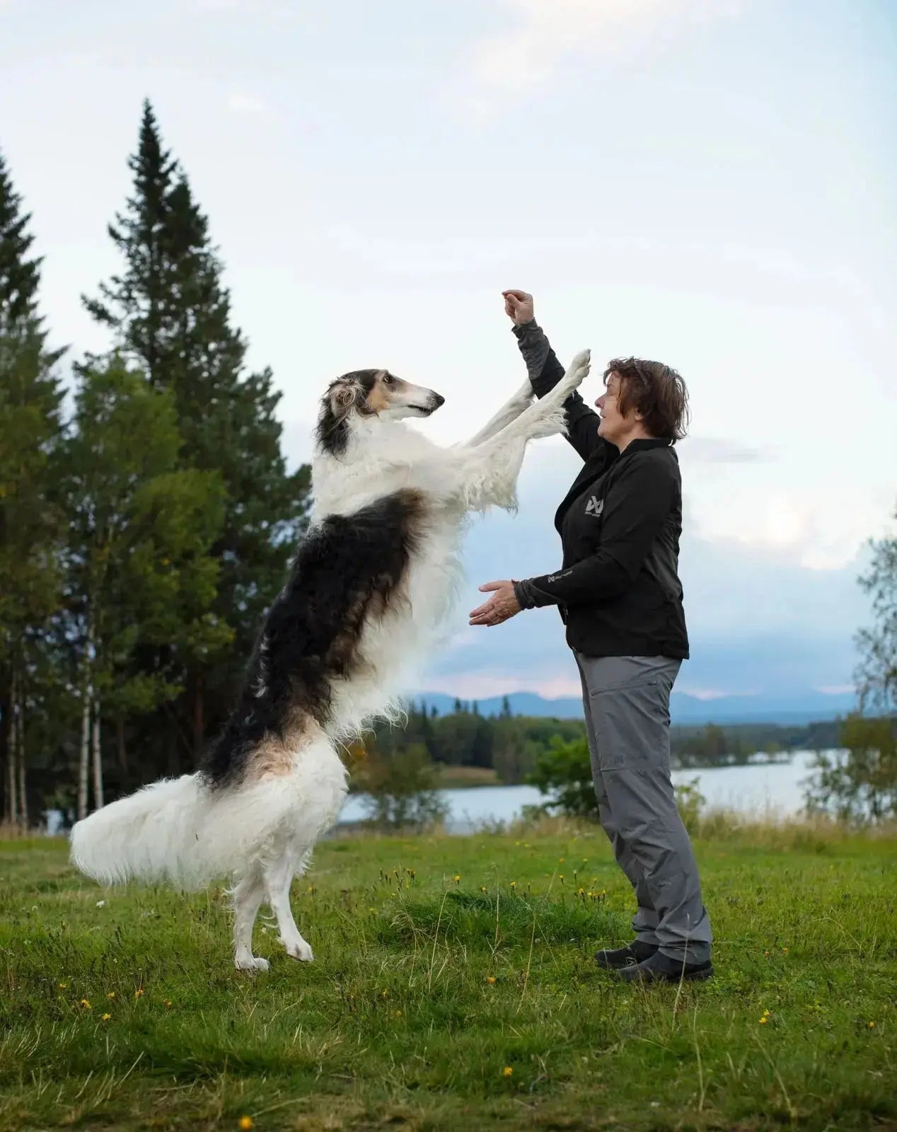 Non-stop dogwear Trail Quest Pants Women’s
