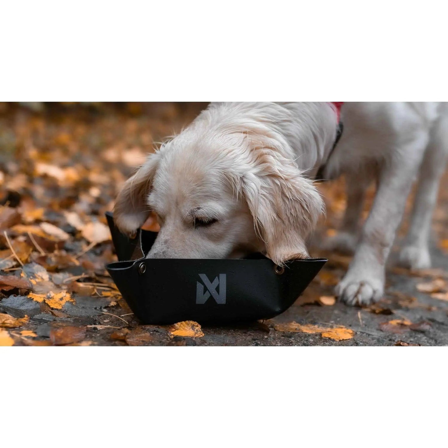 Non-stop dogwear Trekking Bowl