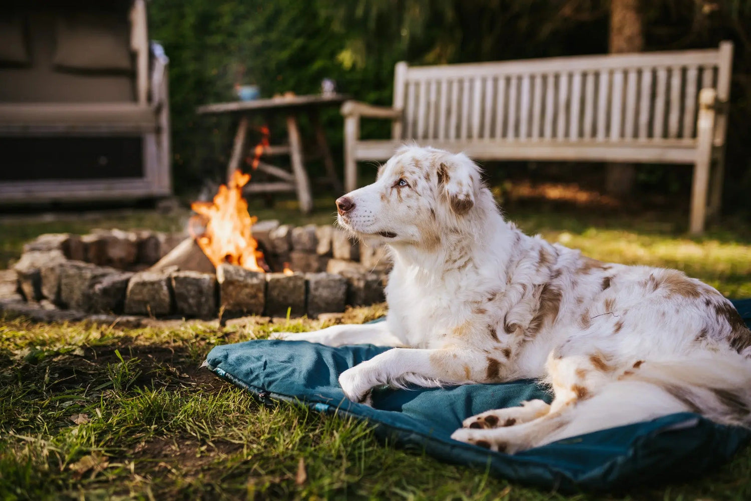 Non-Stop Dogwear Trekking Dog Bed – Lightweight Outdoor Dog Bed