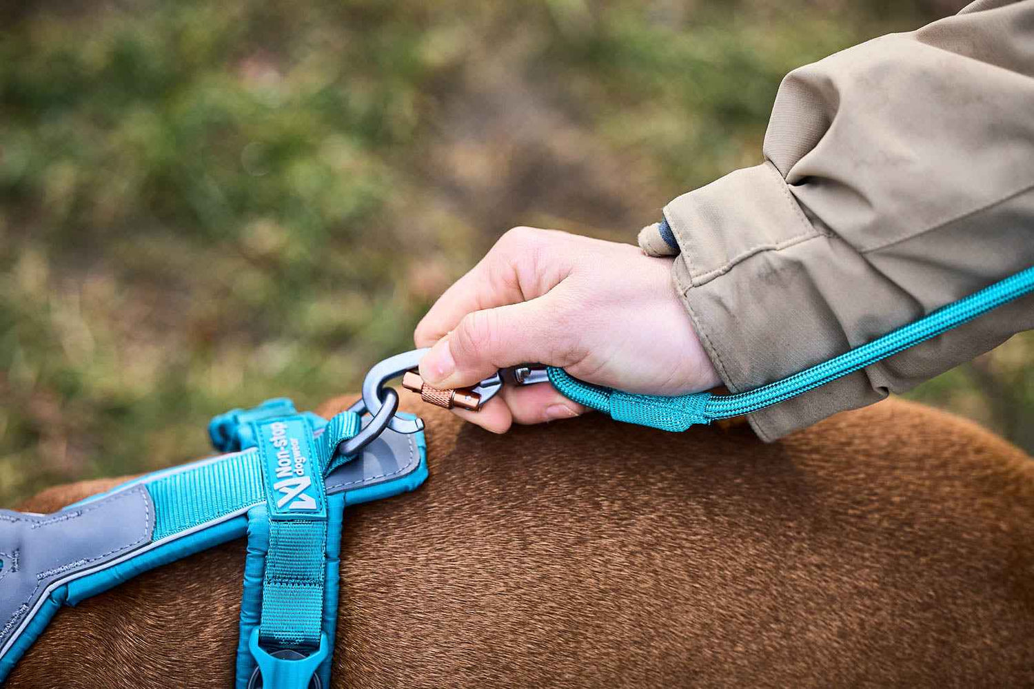 Non-stop dogwear Trekking Rope Leash