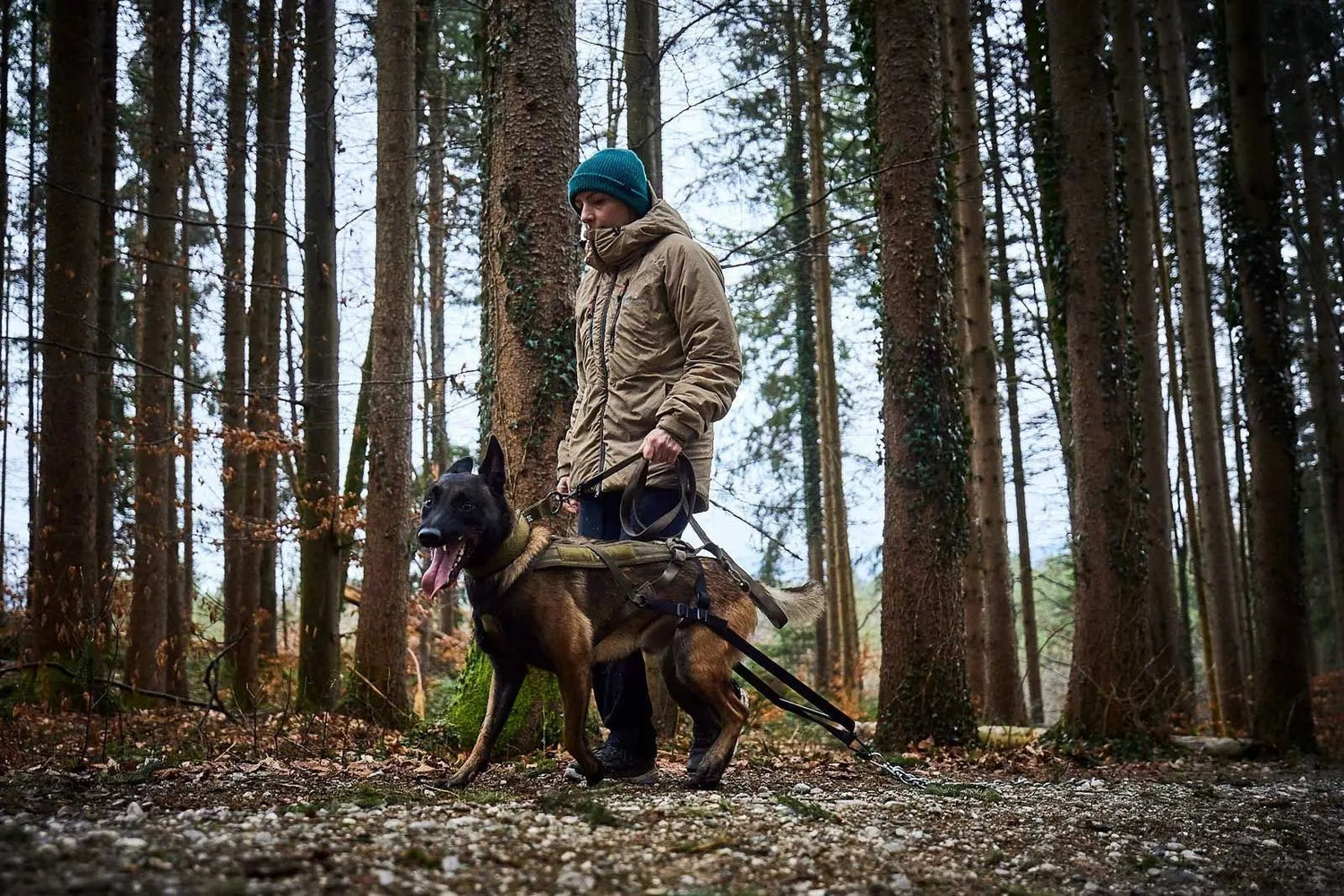 Non-stop dogwear Working Dog - Wiggle and Wag