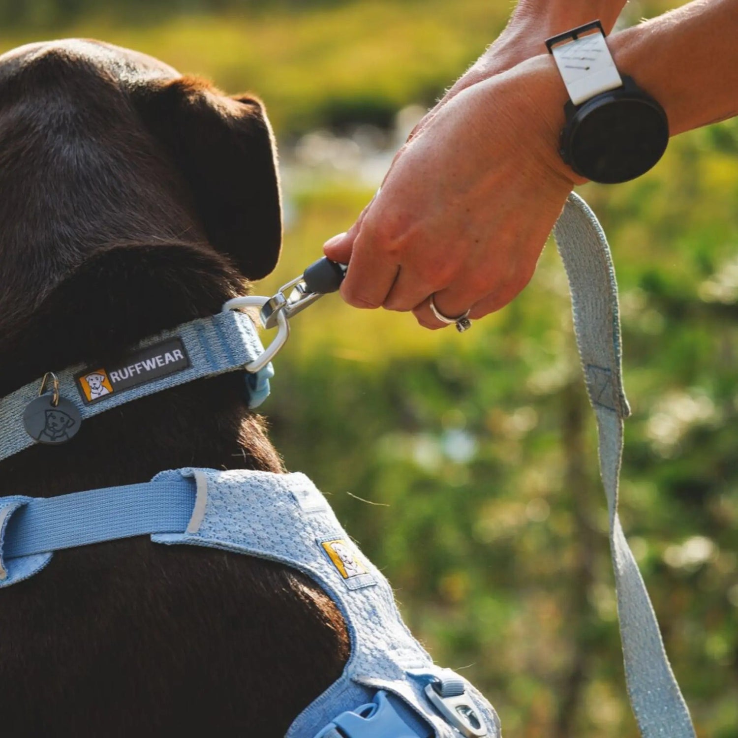 Ruffwear Front Range™ Flex Harness