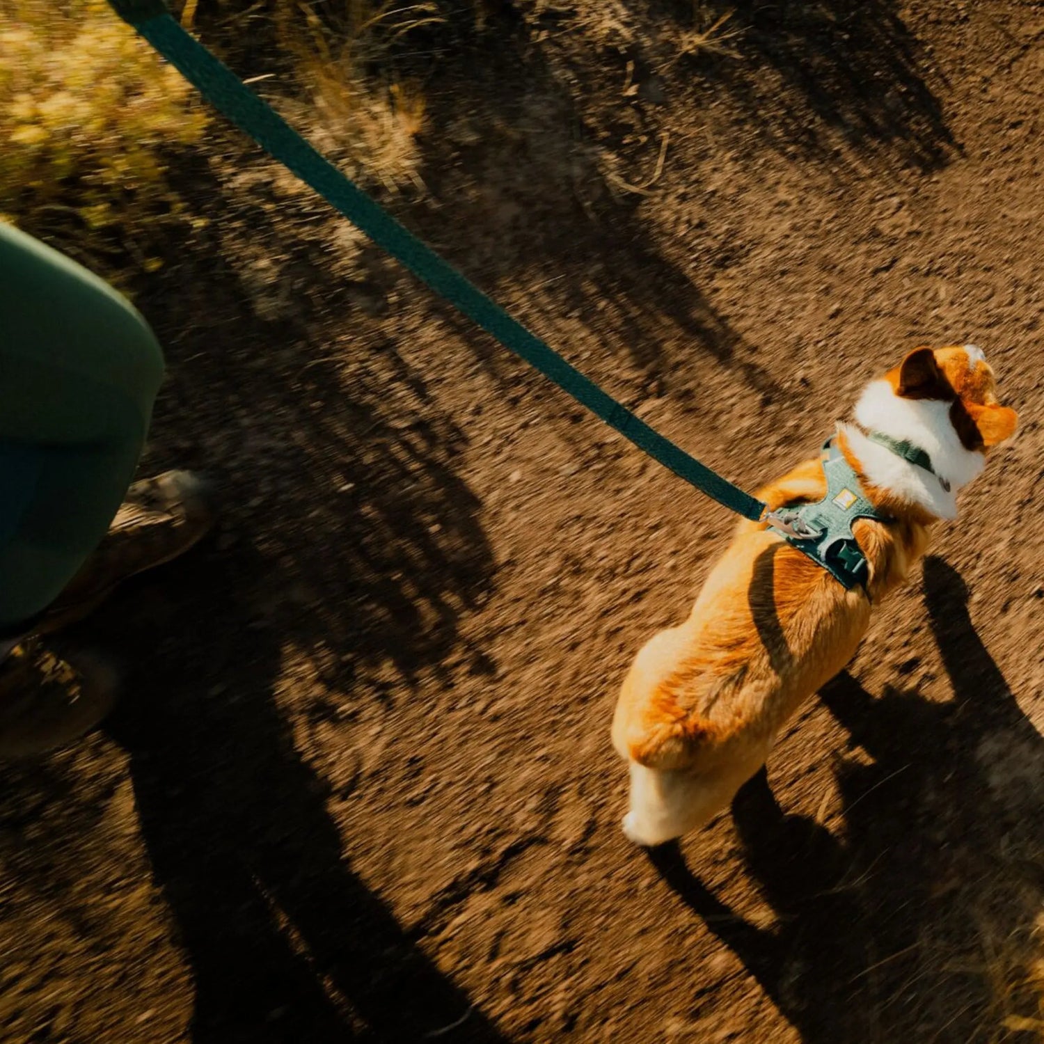 Ruffwear Front Range® Flex Leash