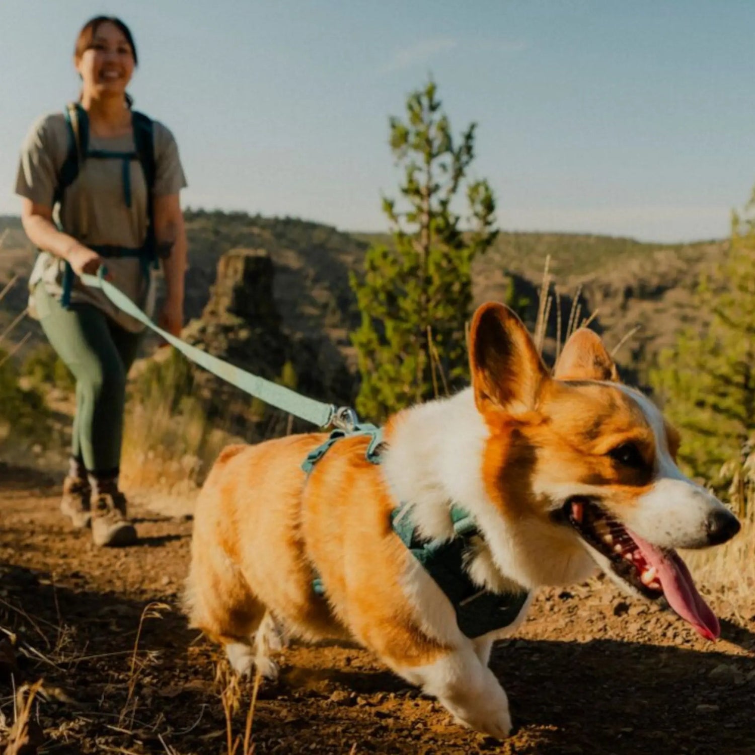 Ruffwear Front Range® Flex Leash