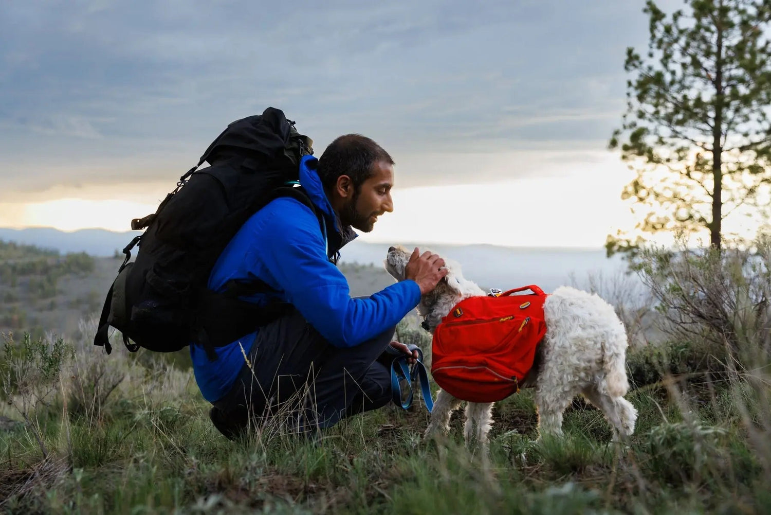 Ruffwear Palisades™ Dog Pack