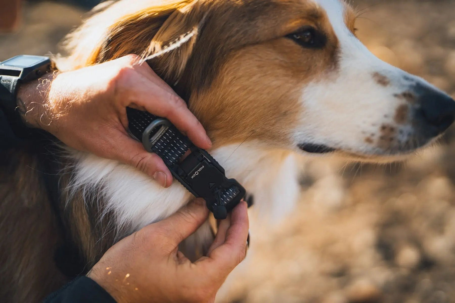 Ruffwear Ridgeline™ Collar