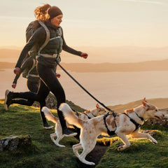 Ruffwear Ridgeline™ Harness