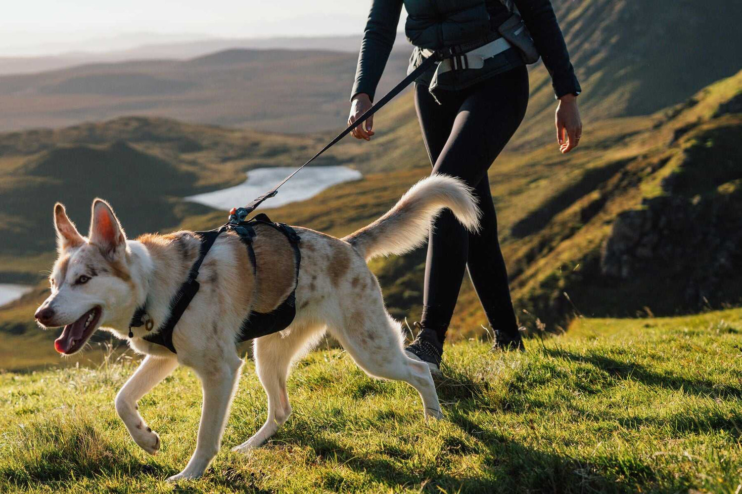 Ruffwear Ridgeline™ Leash