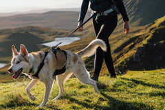 Ruffwear Ridgeline™ Leash