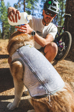 Ruffwear Swamp Cooler Zip™ Cooling Dog Vest