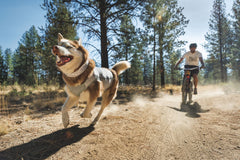Ruffwear Swamp Cooler Zip™ Cooling Dog Vest