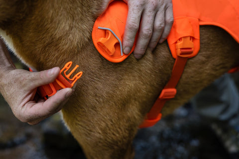 Ruffwear  - Web Master™ Dog Harness with Handle