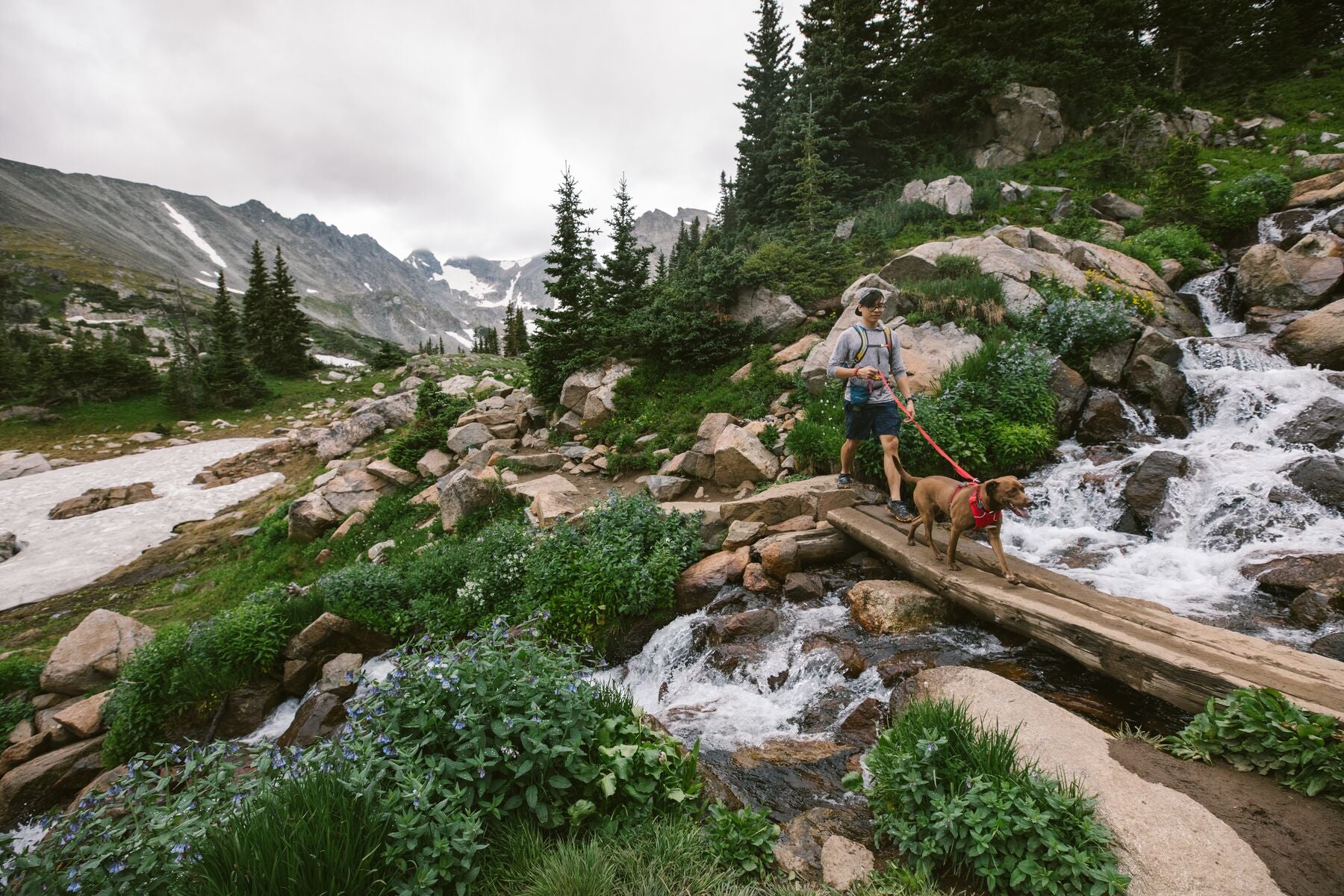 Ruffwear dog gear for hiking and outdoor adventures