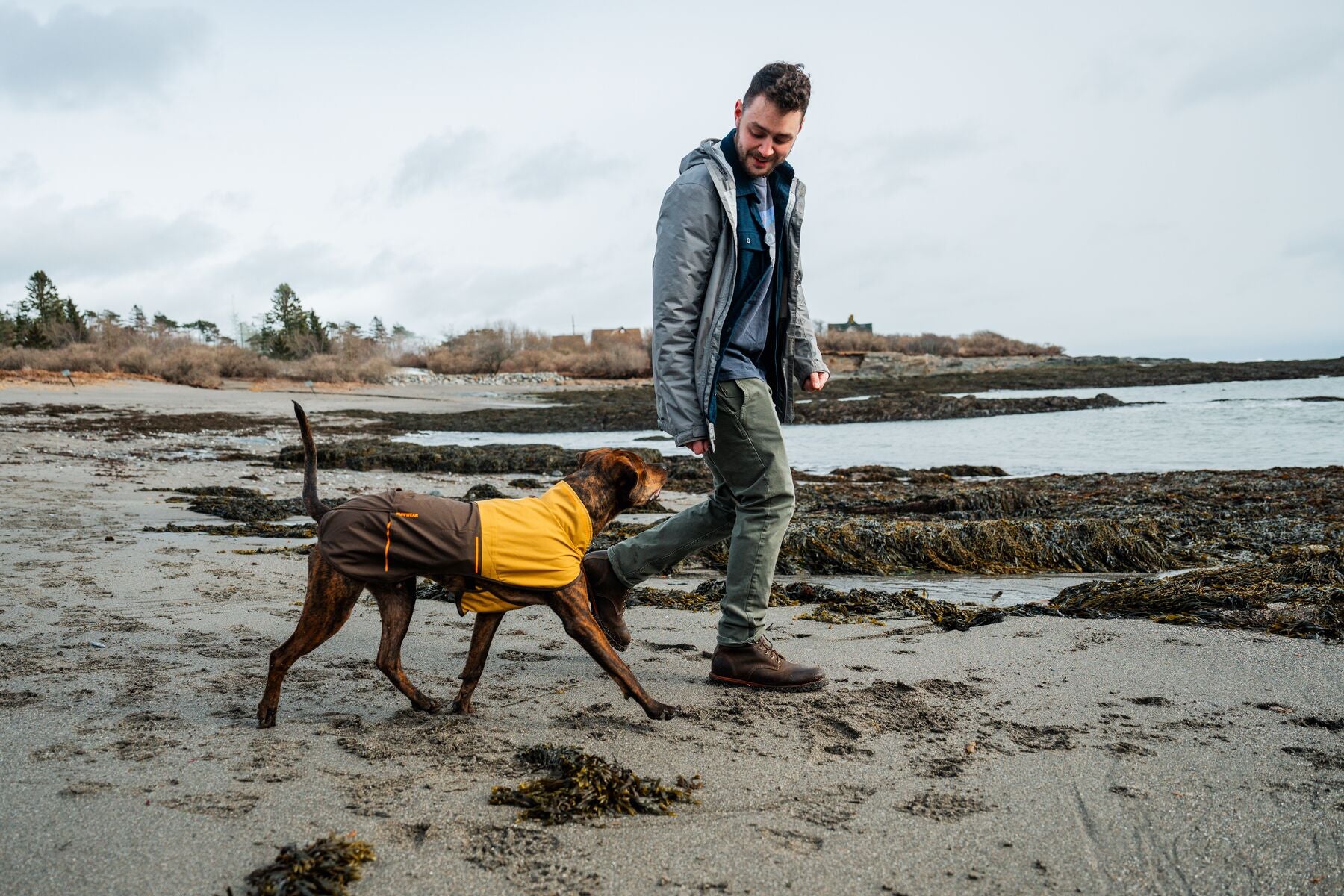 Ruffwear dog jackets for hiking in wet and cold weather