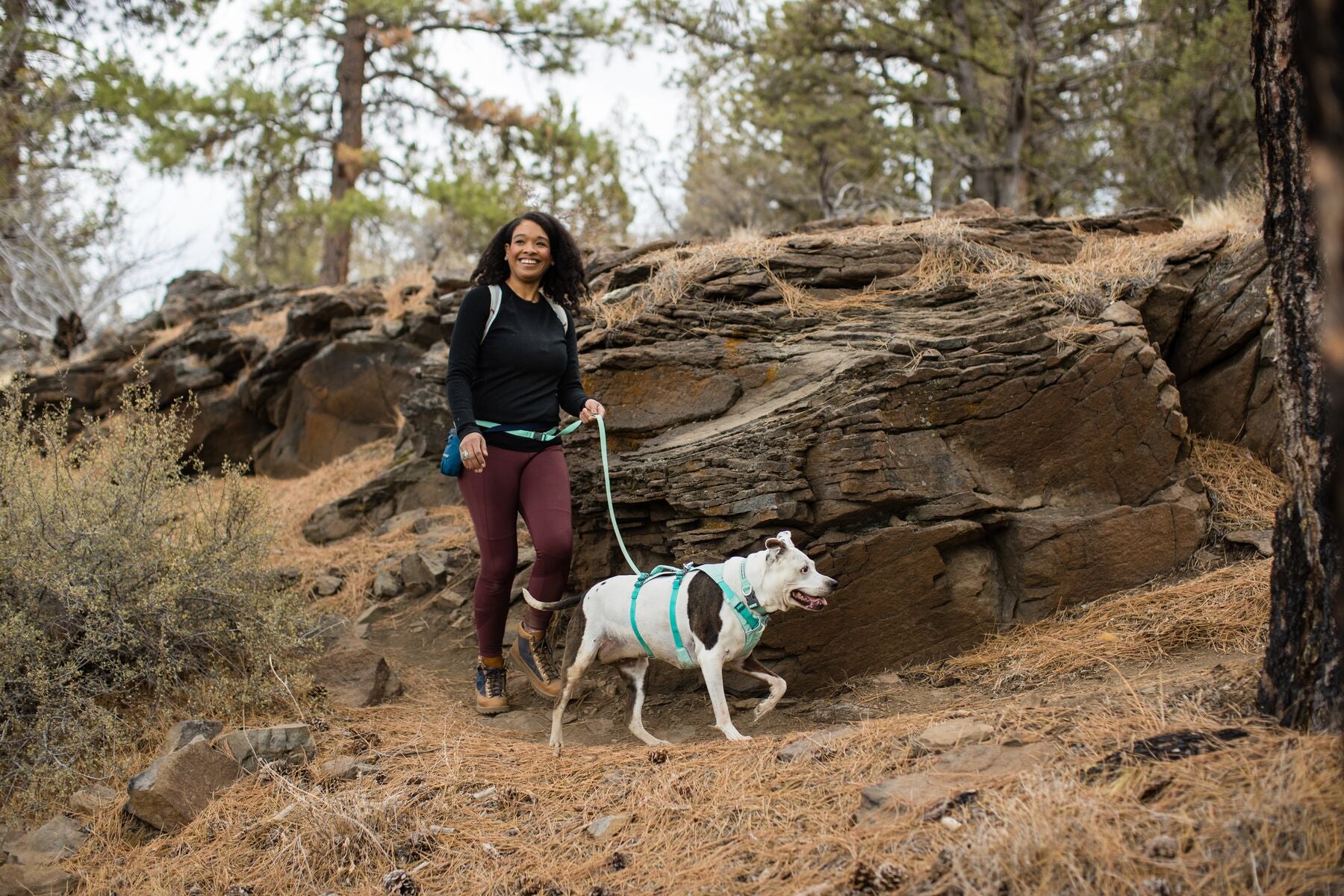 Ruffwear Flagline Harness for hiking with dogs