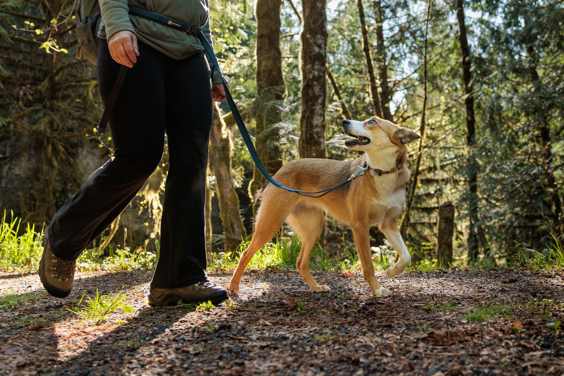 Ruffwear Roamer leash for hiking with dogs