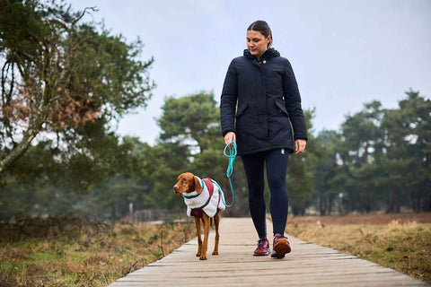 Non-stop dogwear Trekking rope leash