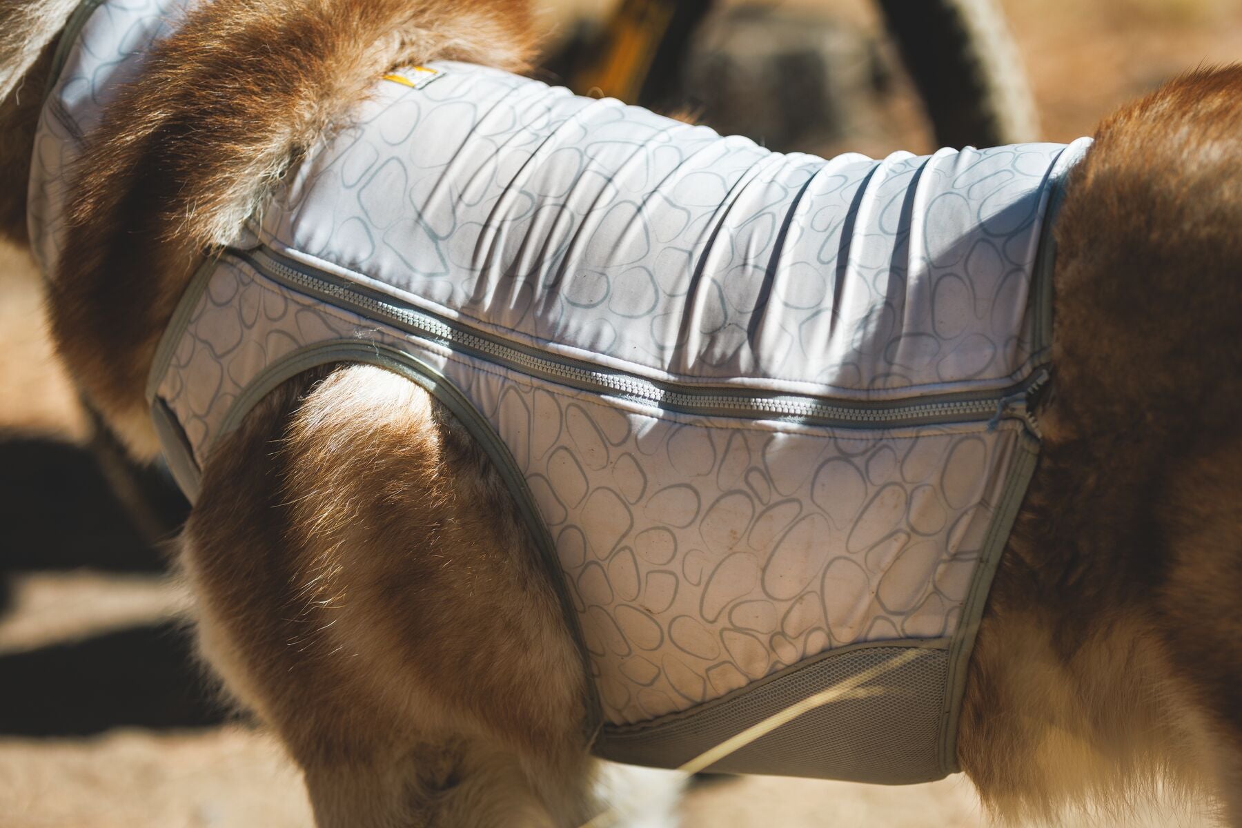 Ruffwear Swamp Cooler Zip™ Cooling Dog Vest