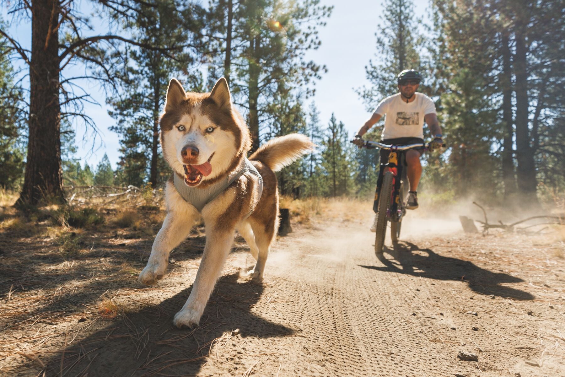 Ruffwear Swamp Cooler Zip™ Cooling Dog Vest