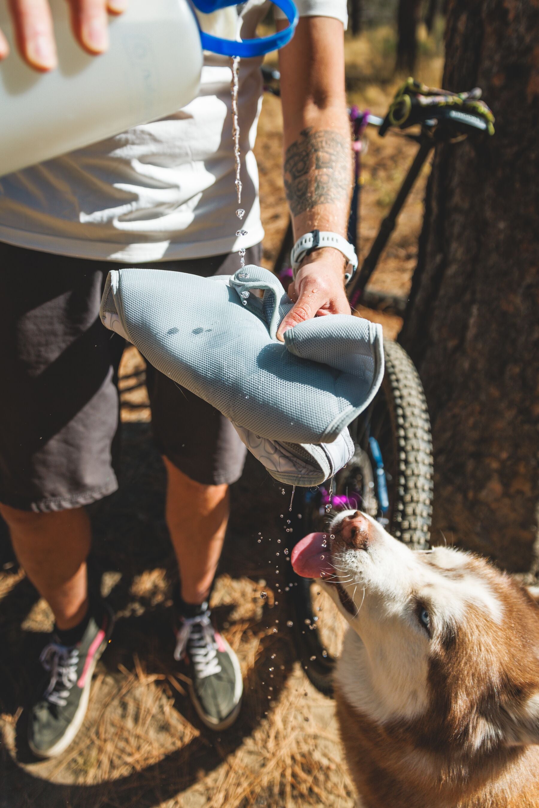 Ruffwear Swamp Cooler Zip™ Cooling Dog Vest Ruffwear