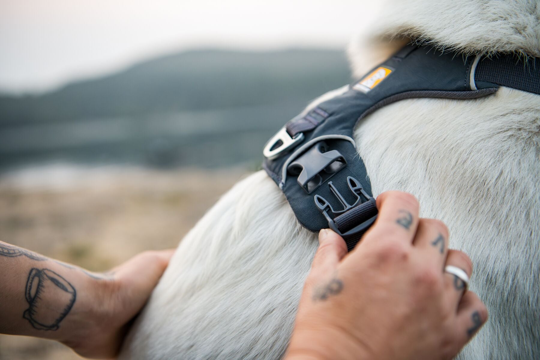 Close-up of the Ruffwear Front Range Dog Harness adjustment and buckle