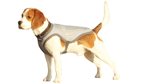 George Barclay ClimaCOOL, Dog Cooling Jacket (Vest)