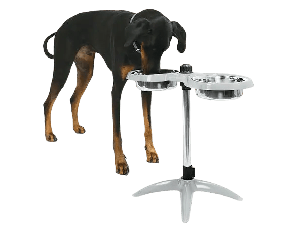 George Barclay Height Adjustable Double Feeding Dog Bowl